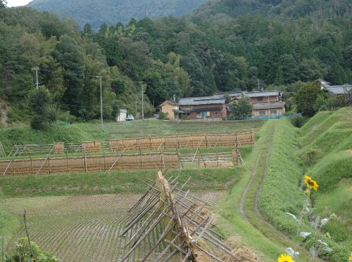 与謝野町の農村風景