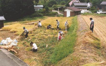 都市住民との交流（棚田オーナーによる稲刈り）