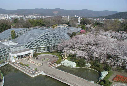 府立植物園の紹介