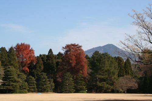 紅葉する残り福の写真