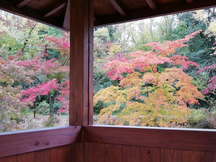 なからぎの森周辺の屋形1112