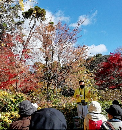 紅葉散策ツアー1121