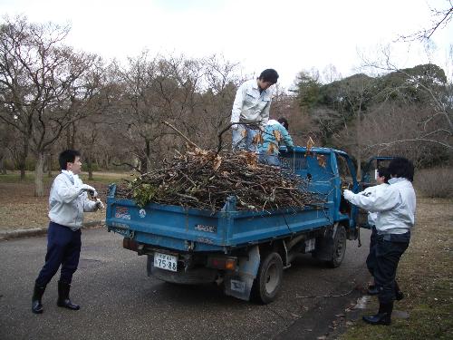 枯れ枝集め作業の写真