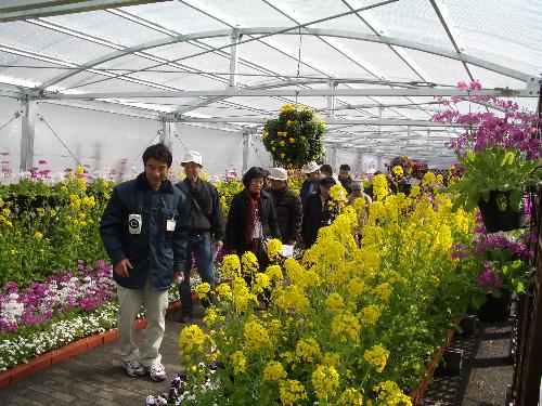 早春の草花展を案内されている写真