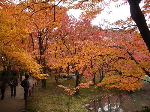 紅葉池の写真