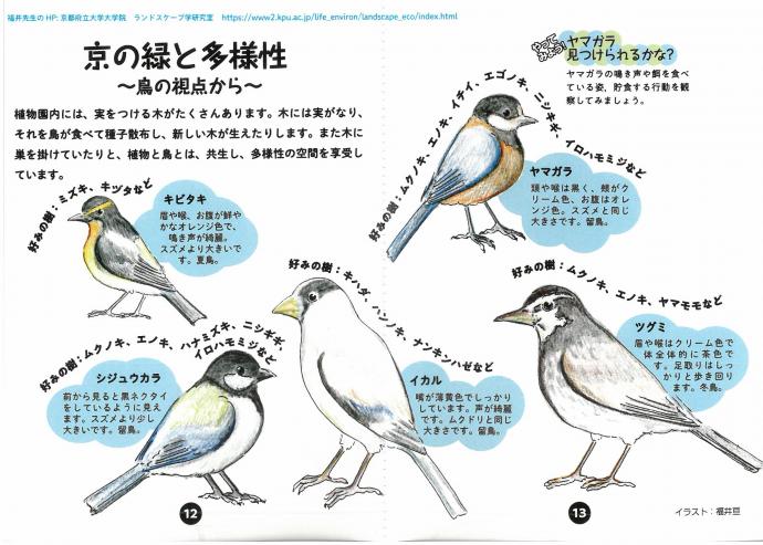 鳥について豆本