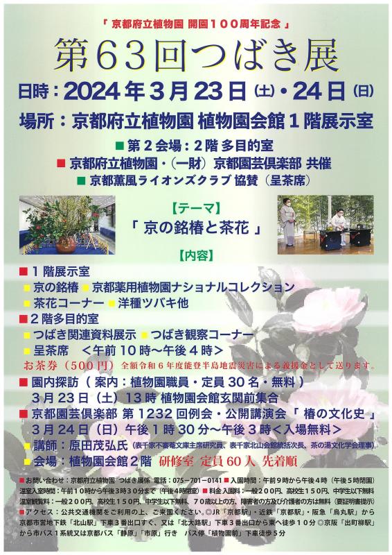 つばき展2024