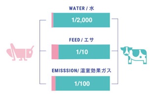 タンパク質生産に必要な量