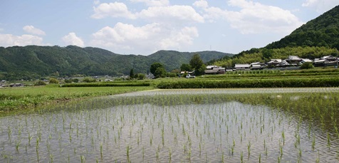 田園