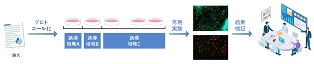 論文再現性確認