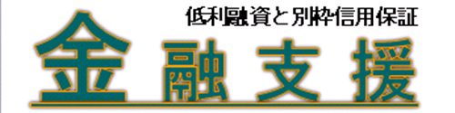 金融支援（低利融資と別枠信用保証）