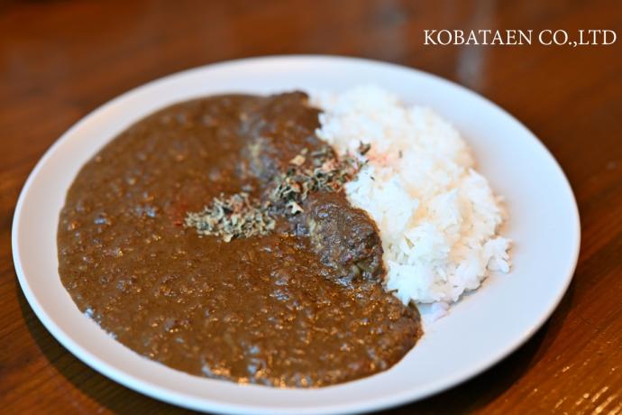 鴨肉カレー