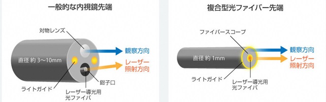 一般との比較