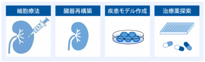 リジェネフロ社の基盤技術