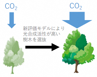 光合成活性の高い樹木を選定するモデルのイメージ01