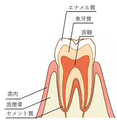 kanamura_3