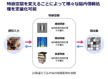 研究概要その2