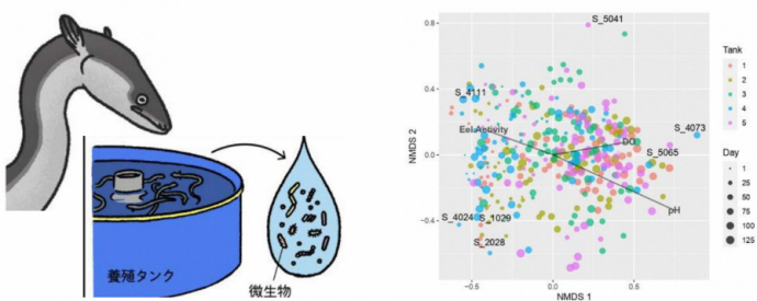サンリット 画像４