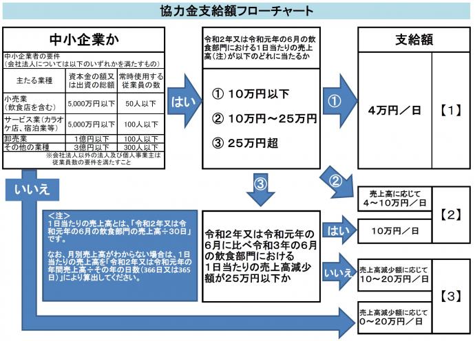 11sikyugaku-flowchart