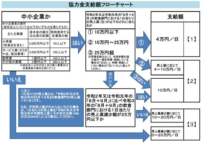 15sikyugaku-flowchart