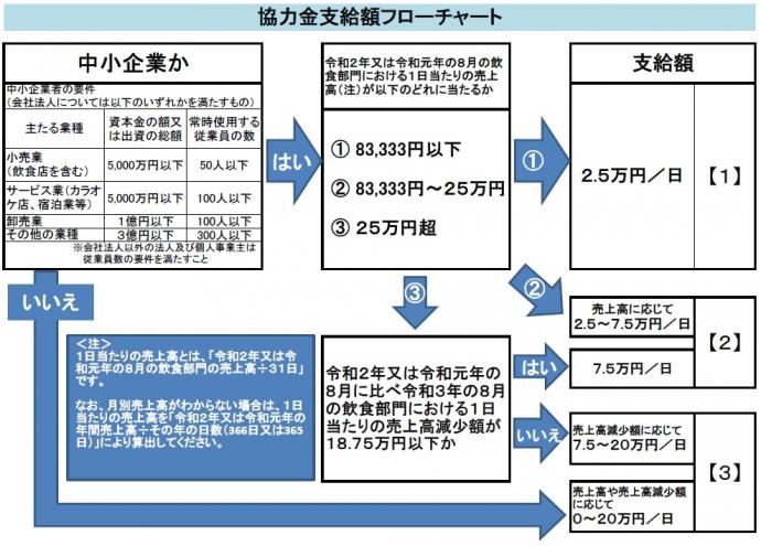 ig14sikyugaku-flowchart