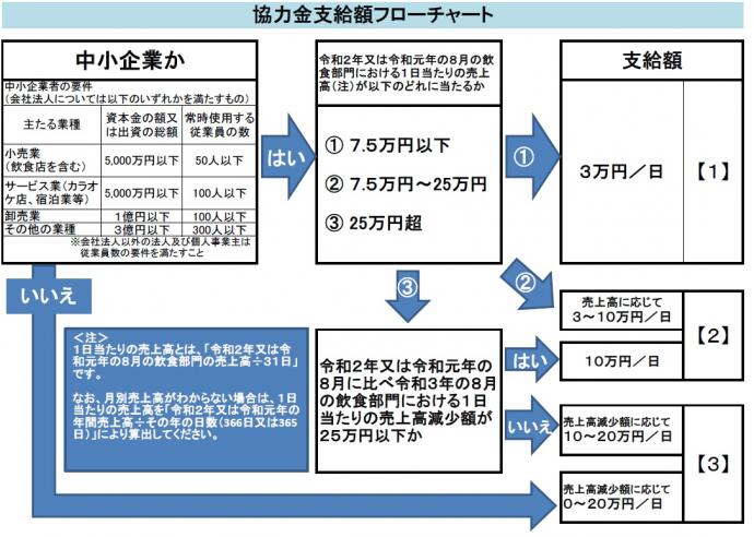 kyo14sikyugaku-flowchart