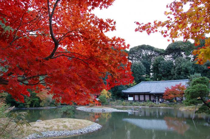 浄瑠璃寺