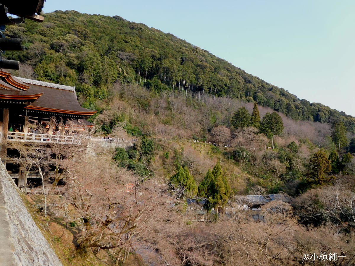 視点A付近から舞台方面を見た現況（2025年3月21日撮影）