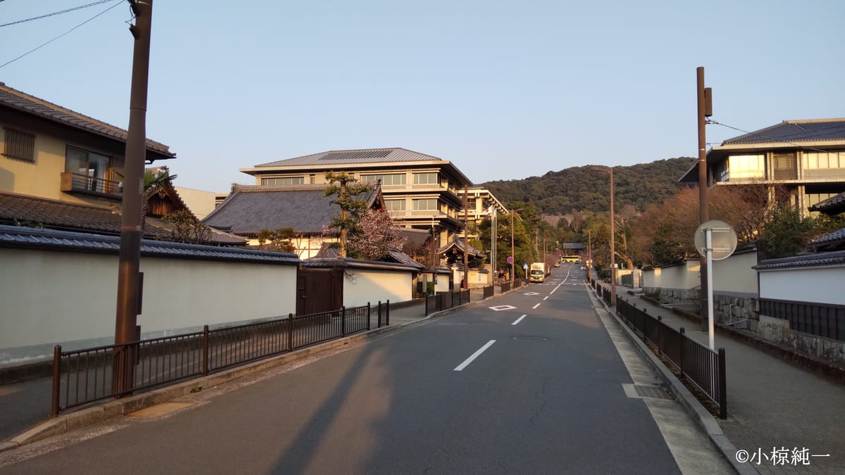 今日の知恩院参道付近（知恩院新門近くより 2025年3月21日撮影）