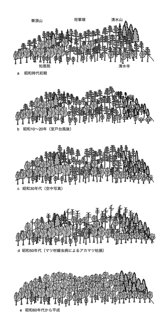 図4　東山における昭和以降の植生の変遷（高原，2020）