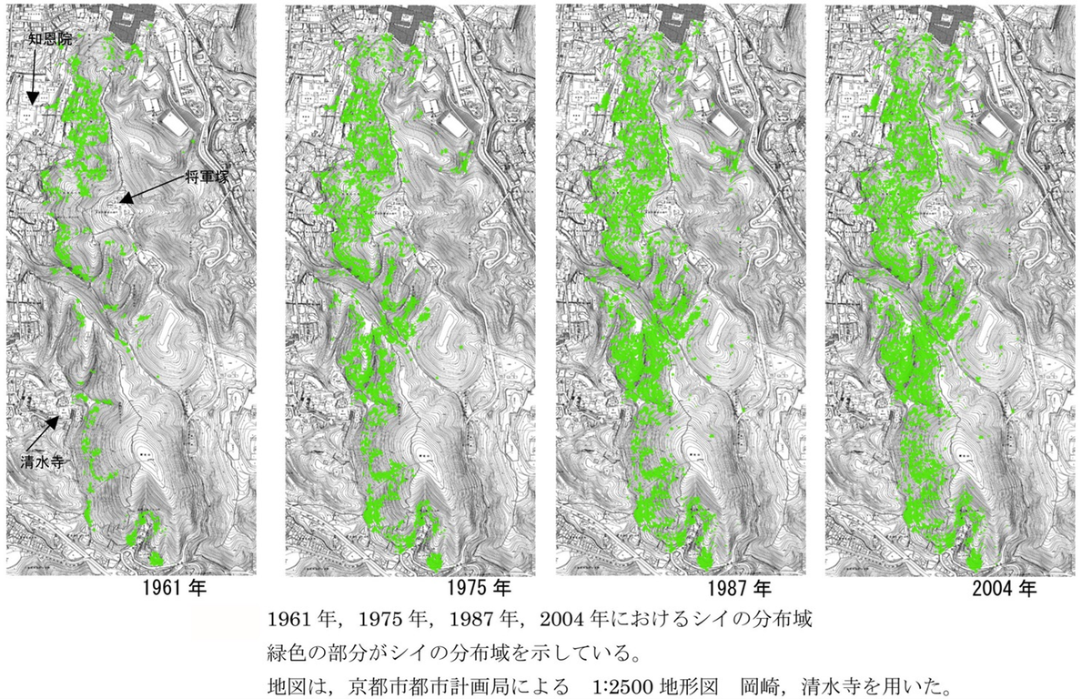 図7　東山におけるシイ林の変化（奥田ほか,2007）