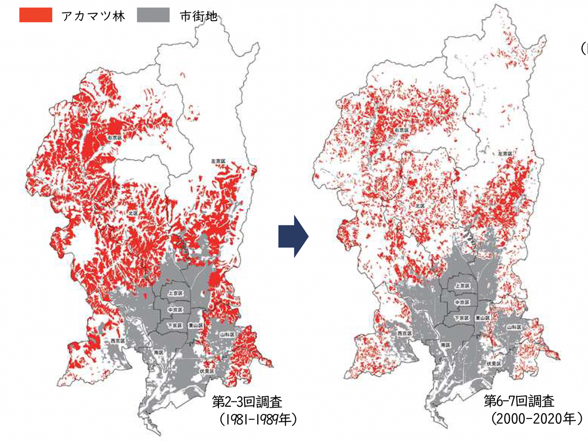 京都市におけるアカマツ林の分布の変化