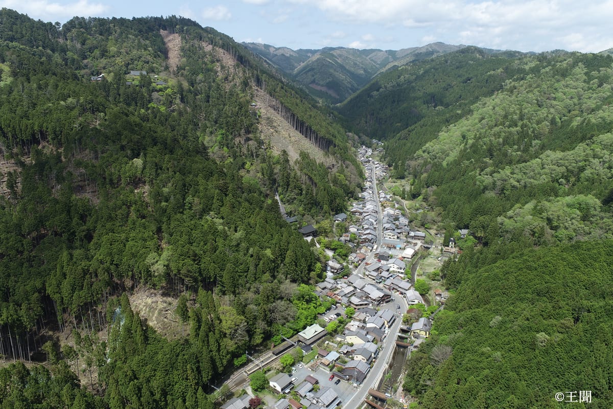 鞍馬集落周辺の里山林
