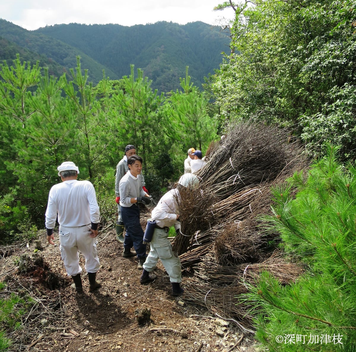 馬火祭保存会メンバーによる柴出し