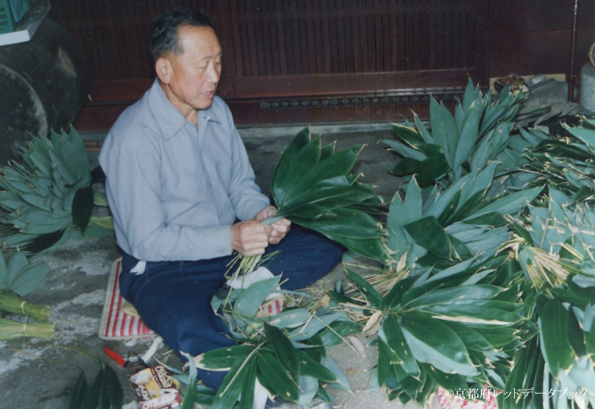 写真24　チマキザサを束ねているところ。百井。1992年頃の9月。