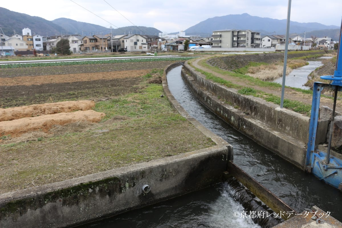 写真6　A家の木場跡。写真中央は高鼻川、写真右側は有栖川。嵯峨野高田町。2021年。