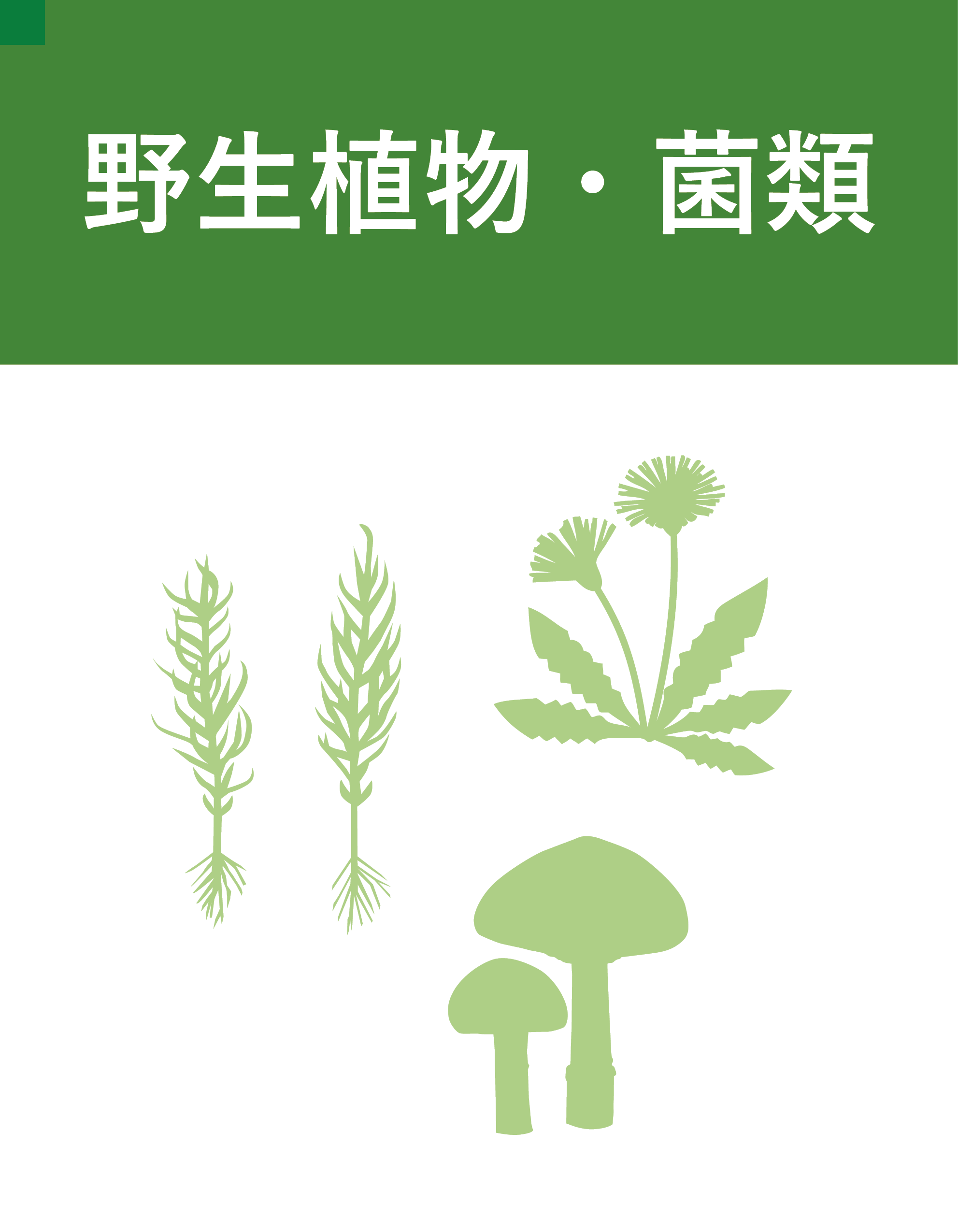 野生植物・菌類