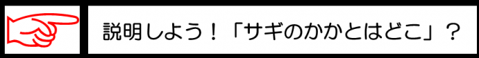 説明しよう「サギのカカトはどこ？」