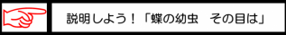 説明しよう「蝶の幼虫　その目は」