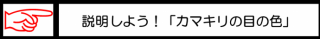 説明しよう「カマキリの目の色」