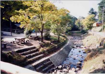 山城町森林公園の風景