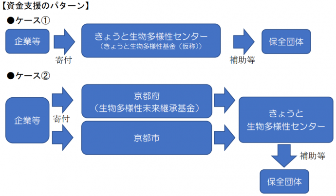 資金支援のパターン