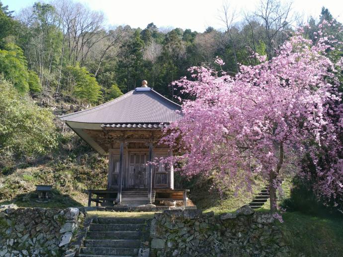 宝泉寺