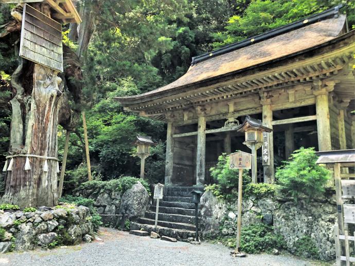 峰定寺山門の写真