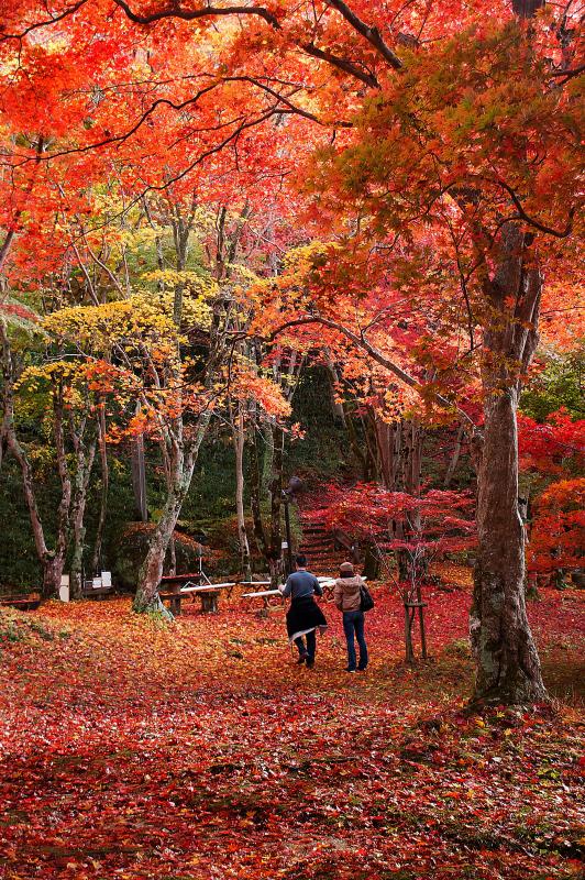 もみじ公園