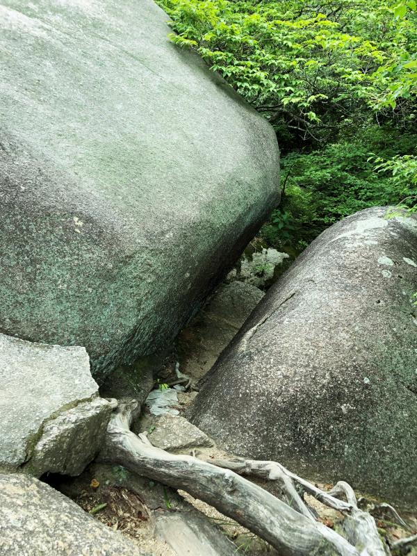 蟻の戸渡り