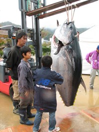 伊根マグロの重量当てクイズ