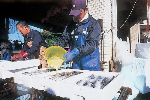 流動氷を注ぐ漁業者