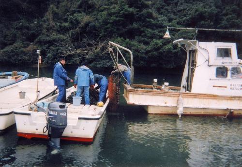 海底清掃の様子