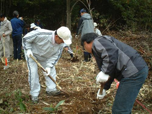 漁業者による植樹